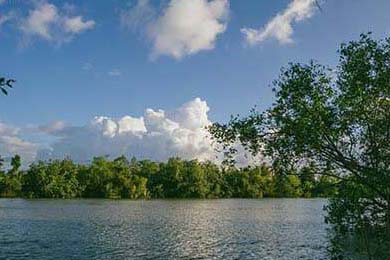 中国足球职业俱乐部强化教练团队梯队构建，足球队教练组架构